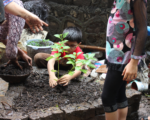 Everyone lends a hand, saplings are planted and urban farmers are born